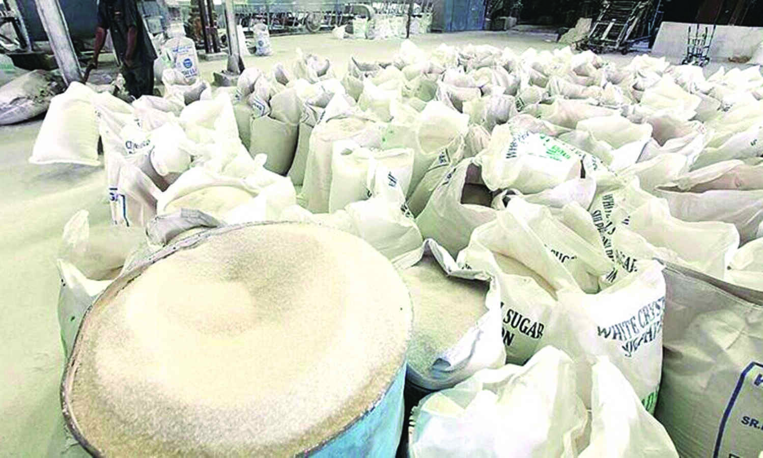 Govt extends curbs on sugar exports till October 31, 2023