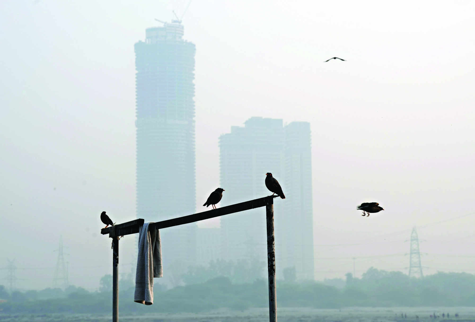 Air quality still in very poor zone, stubble burning share rises to 26% Air quality still in very poor zone, stubble burning share rises to 26%