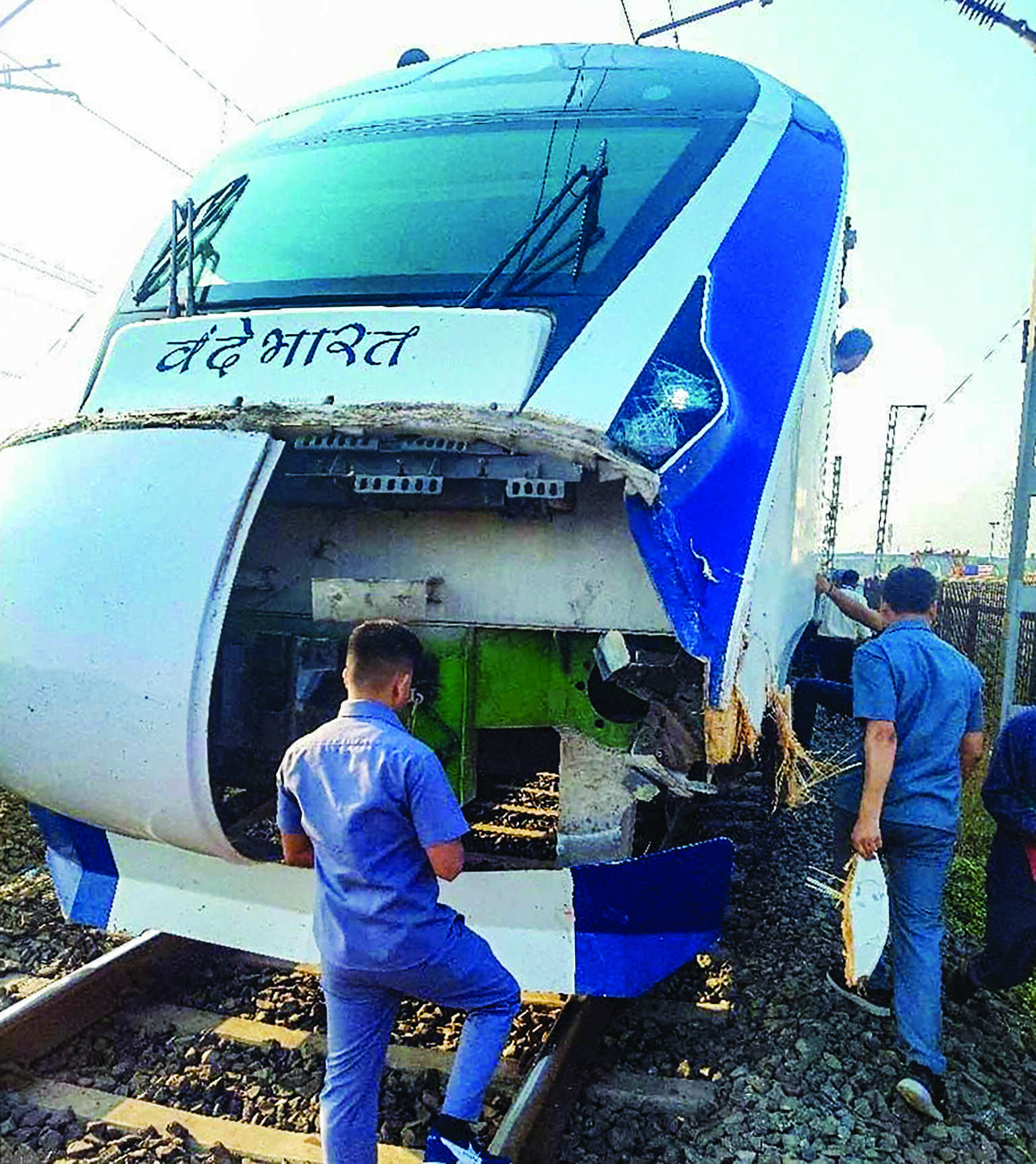 Cattle on tracks: 200 trains affected in 1st 9 days of Oct; 4,000 trains faced delay this year Cattle on tracks: 200 trains affected in 1st 9 days of Oct; 4,000 trains faced delay this year