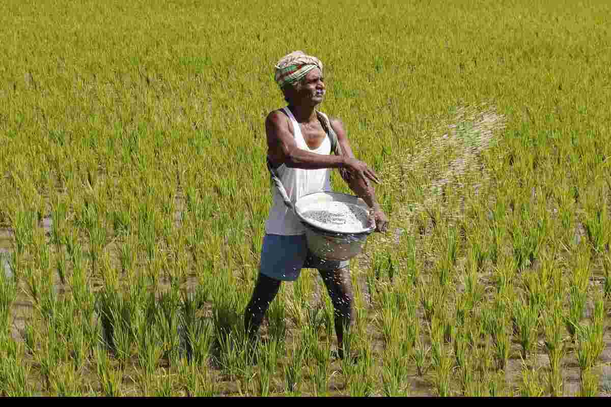Government approves `51,875 cr subsidy for P&K fertilisers for rabi season Government approves `51,875 cr subsidy for P&K fertilisers for rabi season