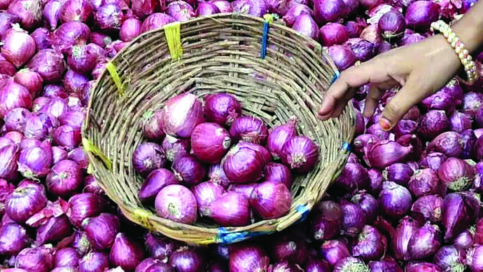 Decline in acreage may result in 13% fall in onion output: Report Decline in acreage may result in 13% fall in onion output: Report