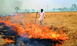 Stubble burning: Punjab reports 21% rise, Haryana registers 31% decline Stubble burning: Punjab reports 21% rise, Haryana registers 31% decline