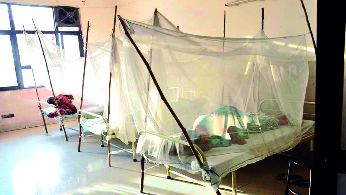 Dengue positivity rate highest in 44th week: Report