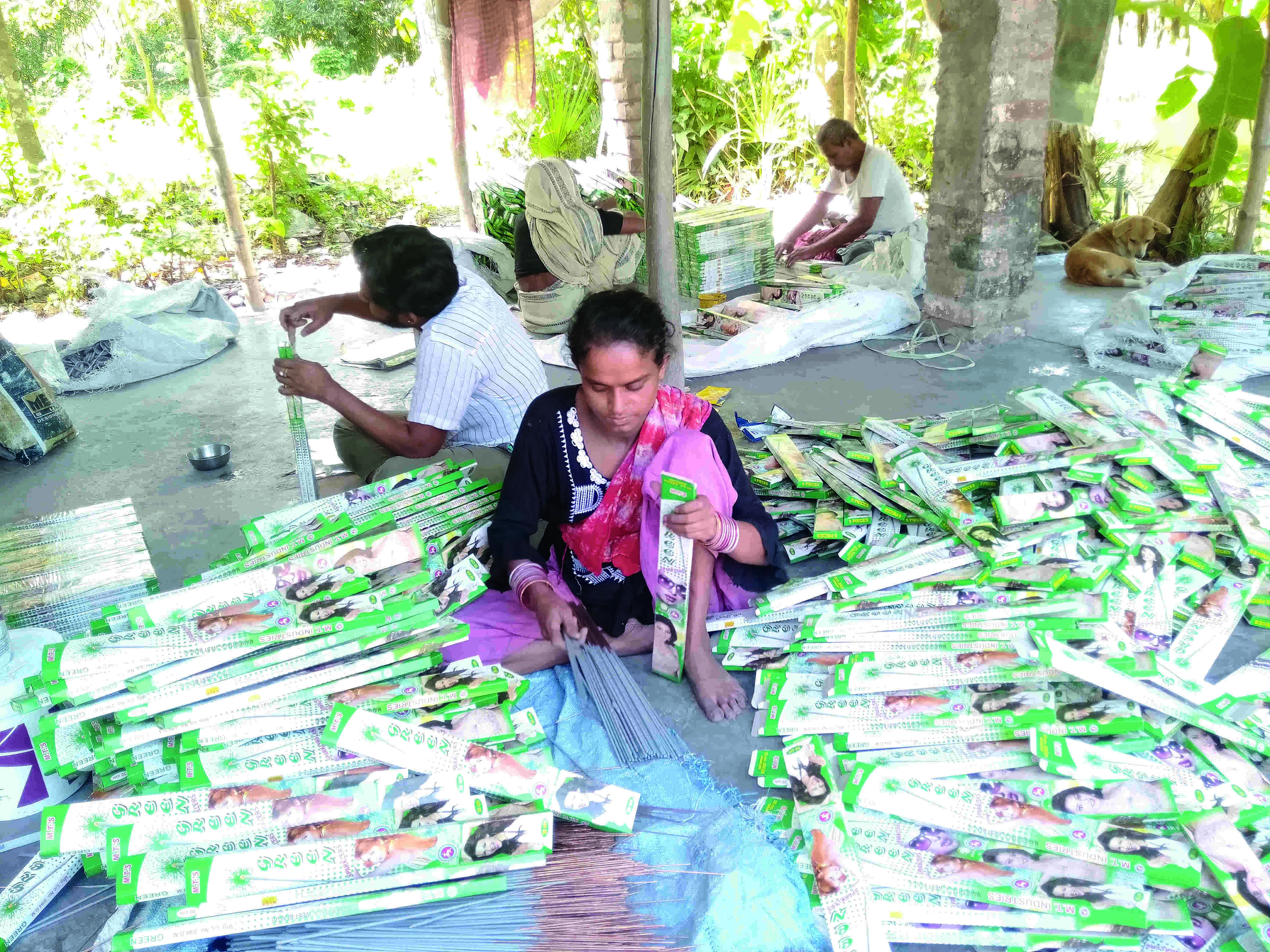 State to extend support to augment manufacturing of green firecrackers State to extend support to augment manufacturing of green firecrackers