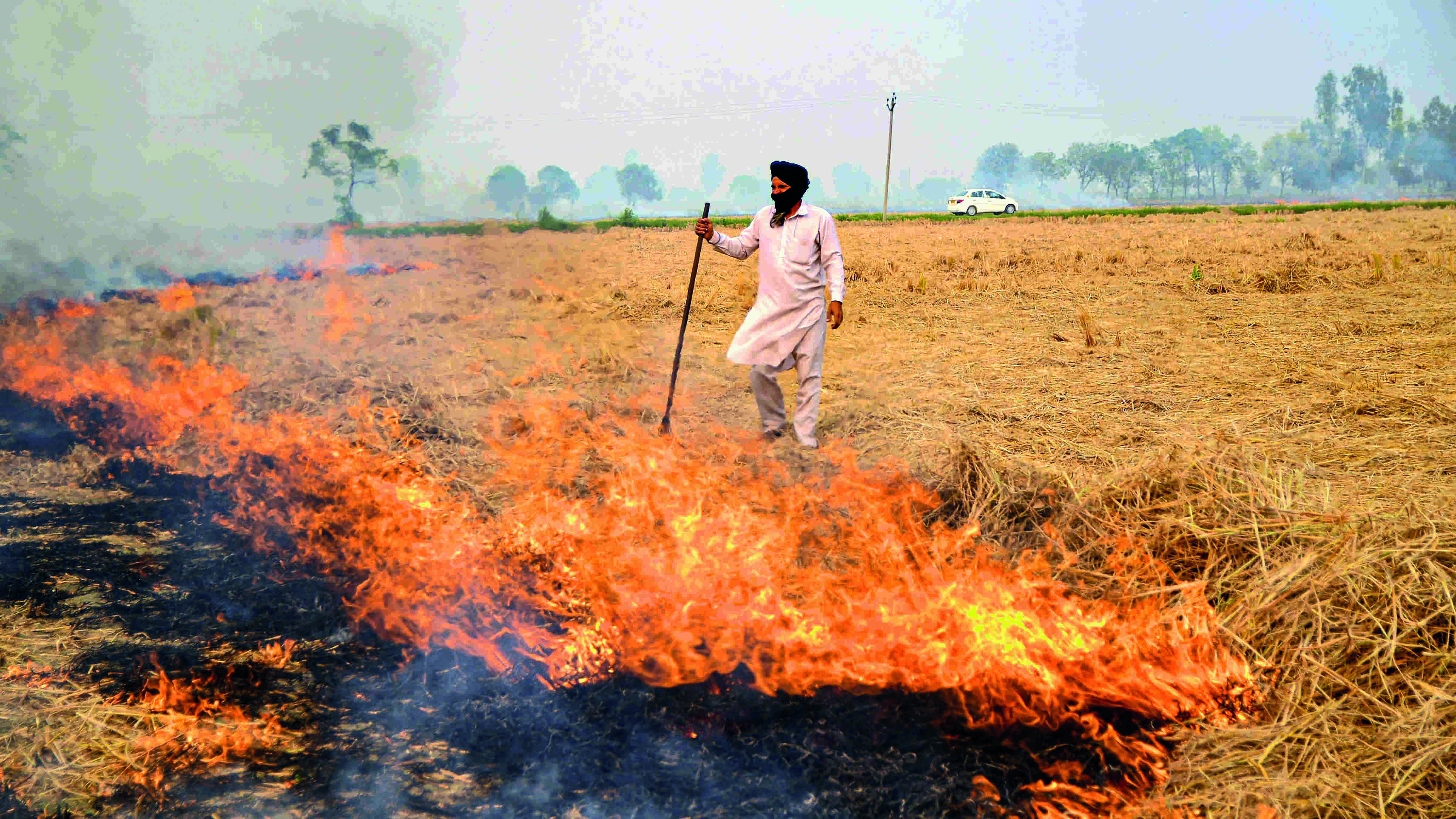 Stubble burning: Punjab reports 21% rise, Haryana registers 31% decline Stubble burning: Punjab reports 21% rise, Haryana registers 31% decline