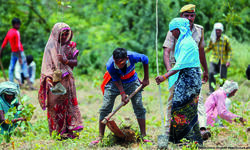 To ward off trans-border pollution, state plans mega tree plantation drive To ward off trans-border pollution, state plans mega tree plantation drive