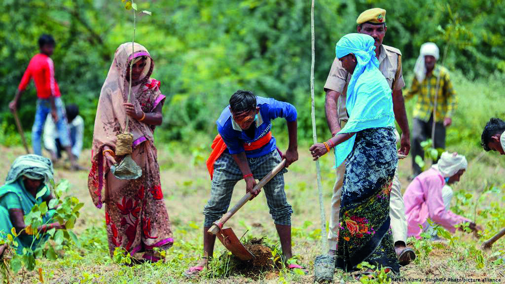 To ward off trans-border pollution, state plans mega tree plantation drive