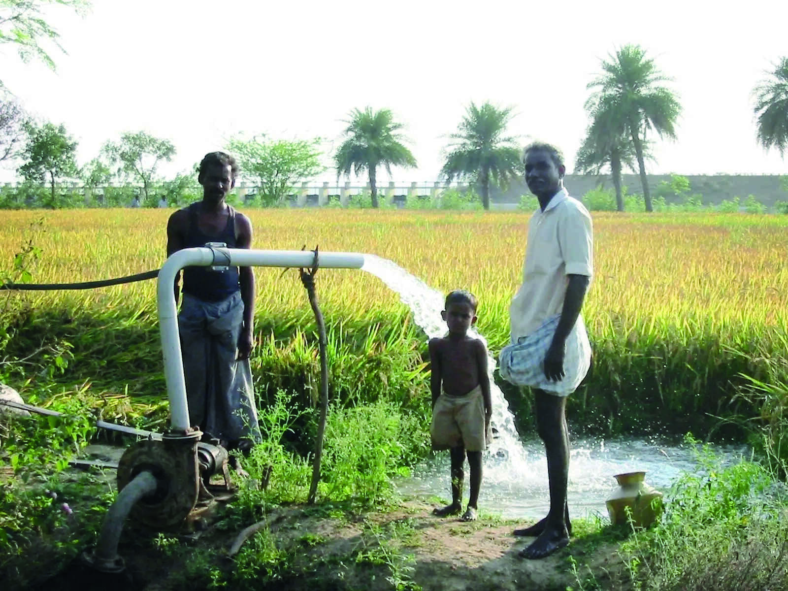 Govt reviews progress   of PMKSY in five states