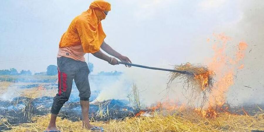 Pathankot only district in Punjab with no farm fire so far this season