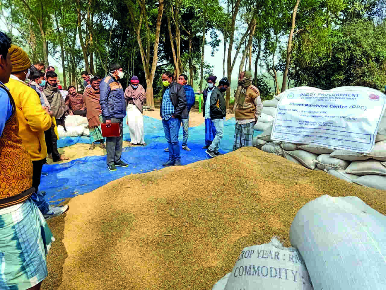 Farmers allowed to fix schedule to sell paddy for the 1st time this year Farmers allowed to fix schedule to sell paddy for the 1st time this year