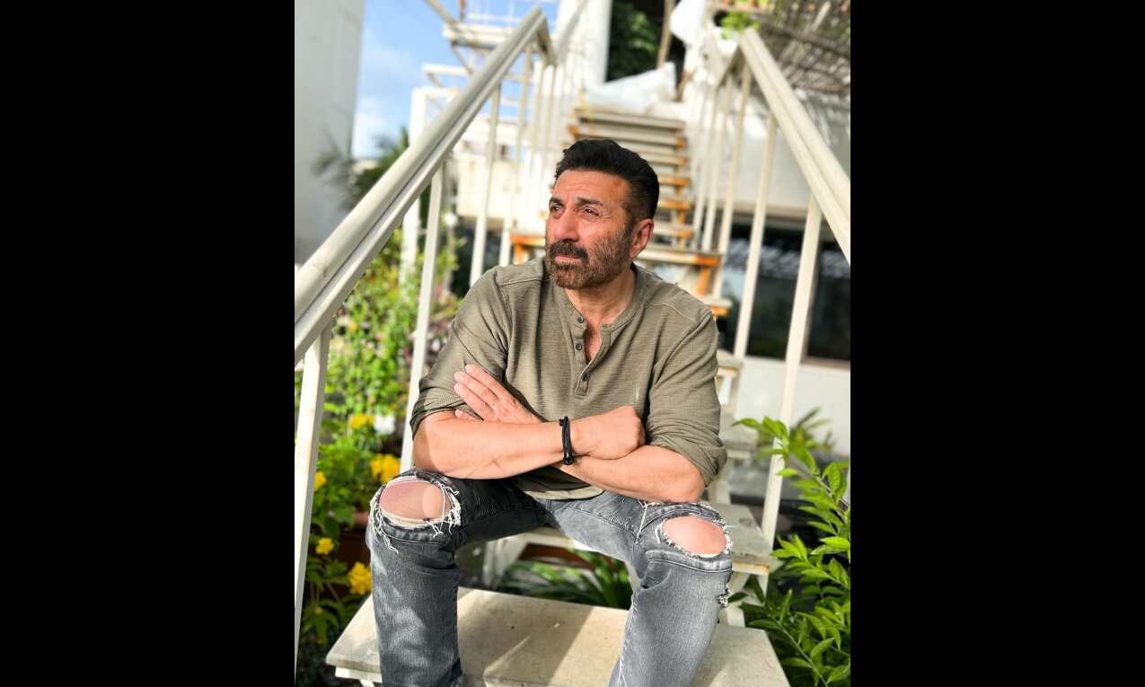 Actor Sunny Deol is in a liberating phase of his career Actor Sunny Deol is in a liberating phase of his career