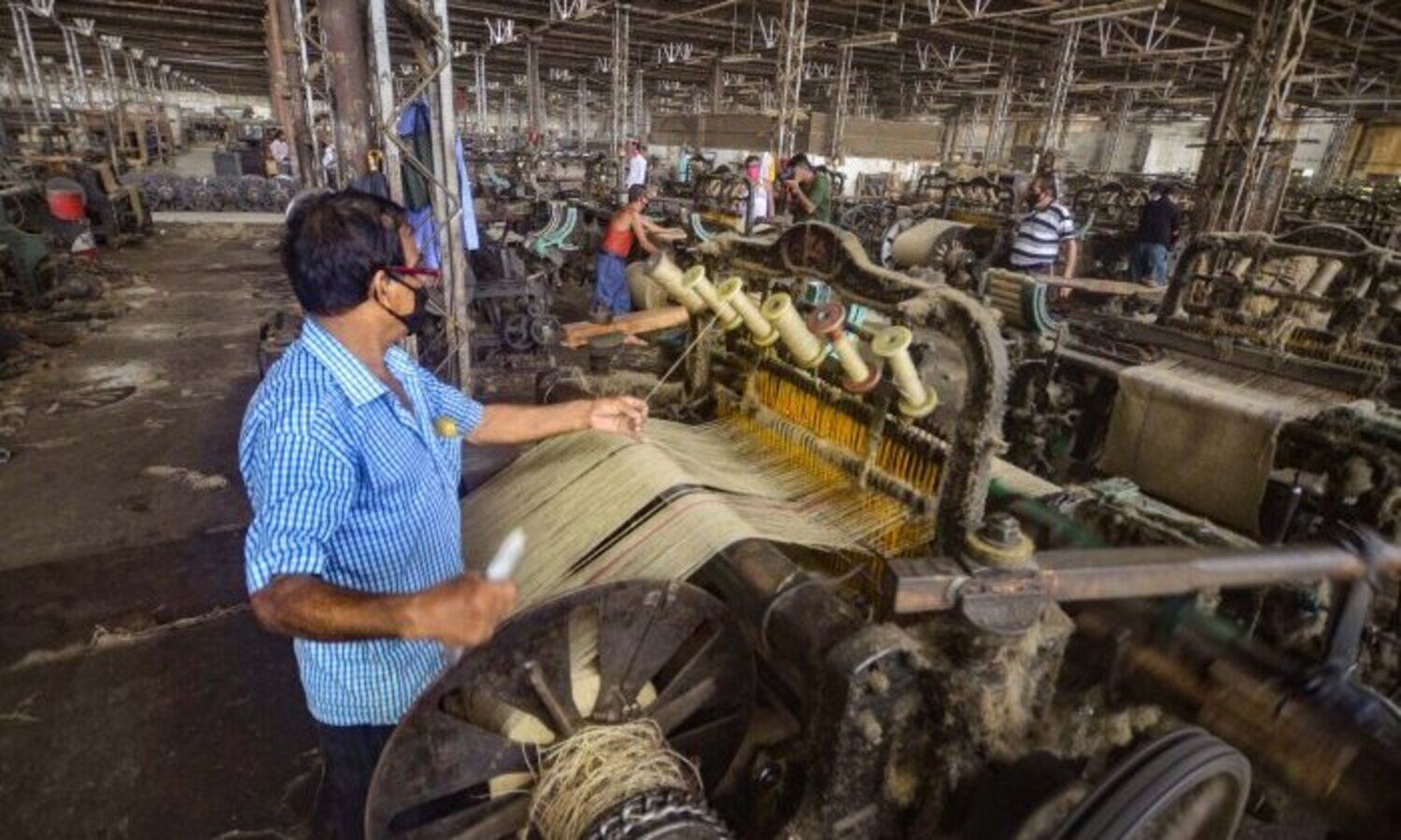 Jute sector must modernise, diversify to reduce govt dependence: Union min