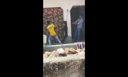 Ghaziabad: Dog hanged to death, video goes viral Ghaziabad: Dog hanged to death, video goes viral