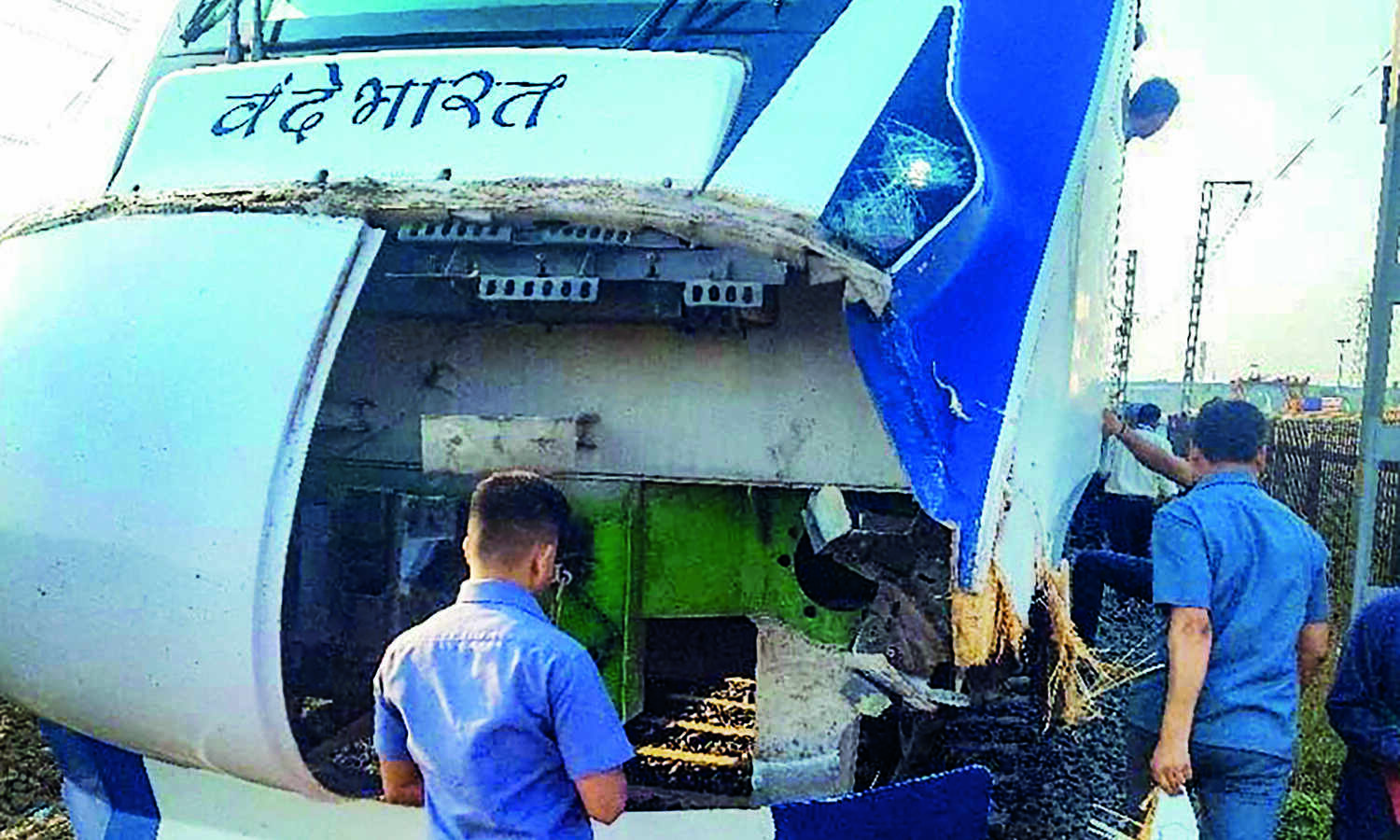 Cattle run over cases: Rlys to build 1,000 km of boundary walls in worst affected sections