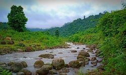 Harmonising the flowing borders Harmonising the flowing borders