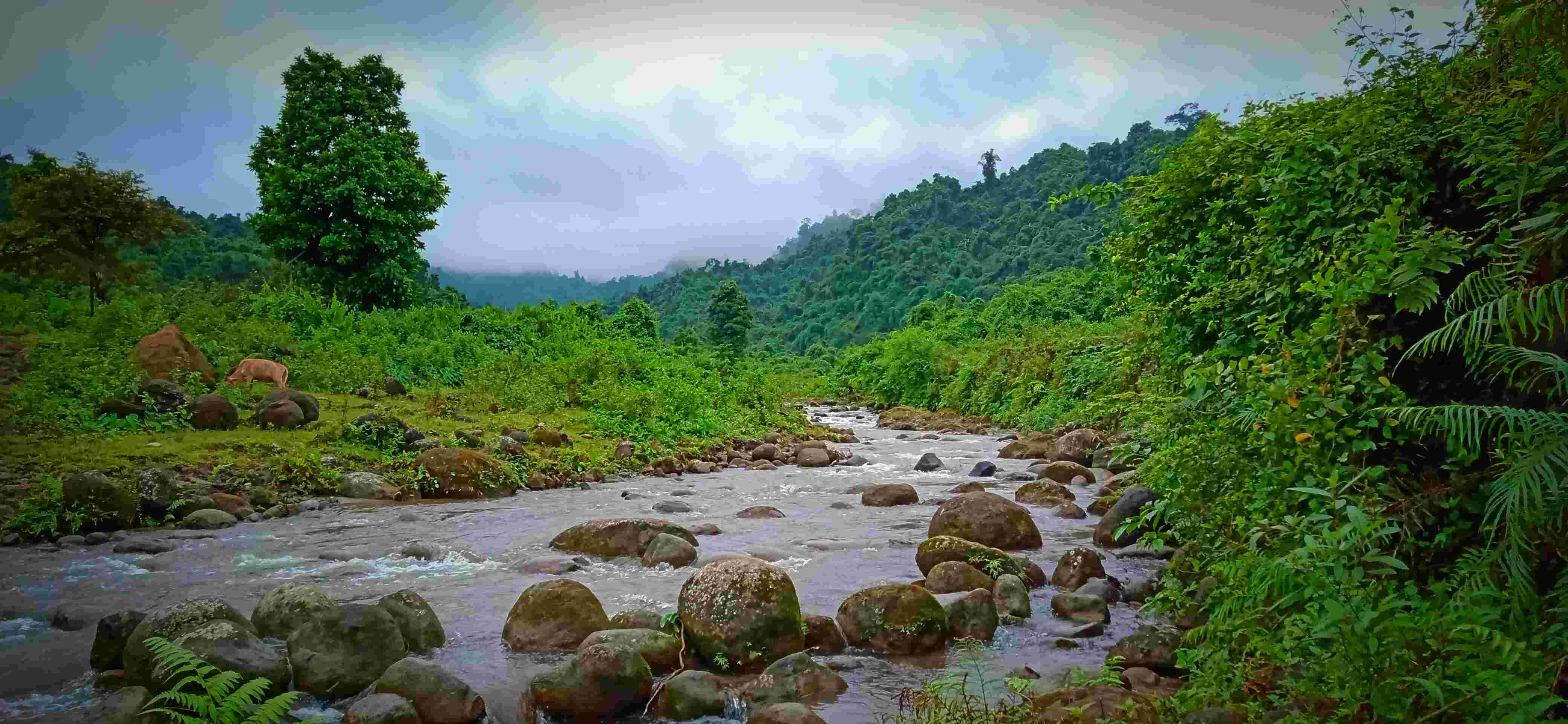 Harmonising the flowing borders