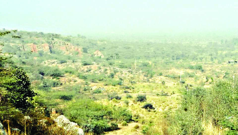 Man dies after falling into trench while taking a selfie in Aravallis