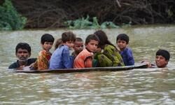 An emerging menace An emerging menace