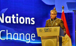 Mixed bag of outcomes!