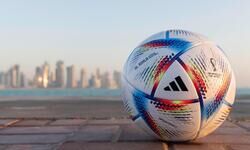 An aerodynamic marvel