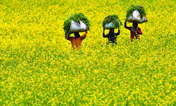 Of profound fecundity Of profound fecundity