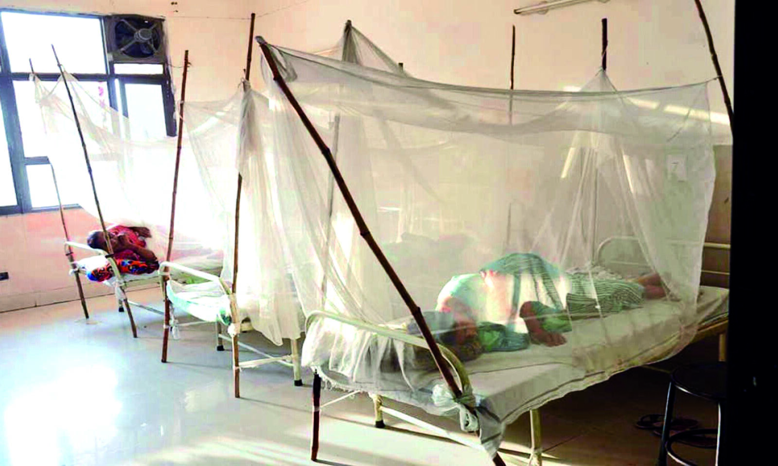 Daily count reduces, only 164 fresh dengue cases reported Daily count reduces, only 164 fresh dengue cases reported