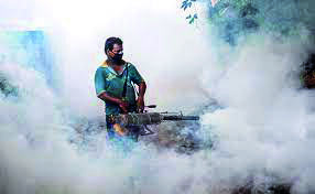 Over 3,300 dengue cases in Delhi, nearly 1,150 in November Over 3,300 dengue cases in Delhi, nearly 1,150 in November