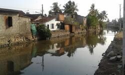 Elemental reprioritisation