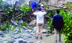 State starts study to find out cause of recurrent landslides in the Hills State starts study to find out cause of recurrent landslides in the Hills