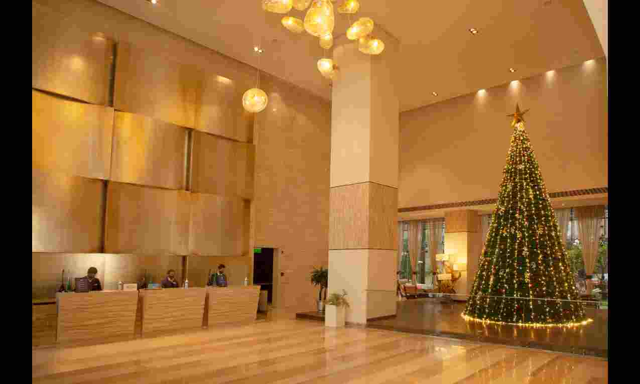 DoubleTree lights up this seasons Christmas tree