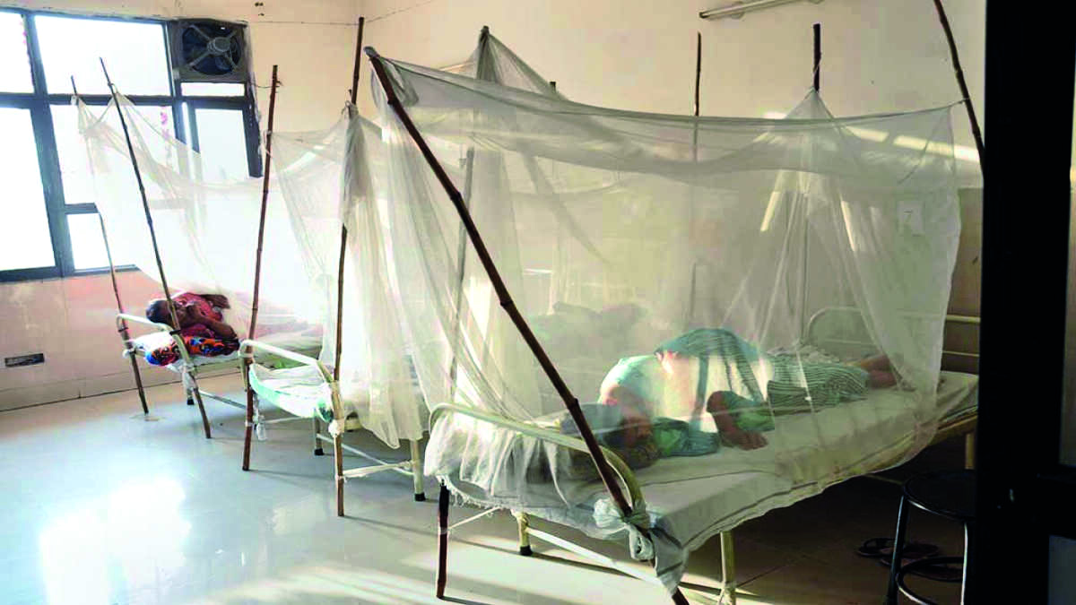 Elderly dies of dengue at Beliaghata ID Hosp Elderly dies of dengue at Beliaghata ID Hosp