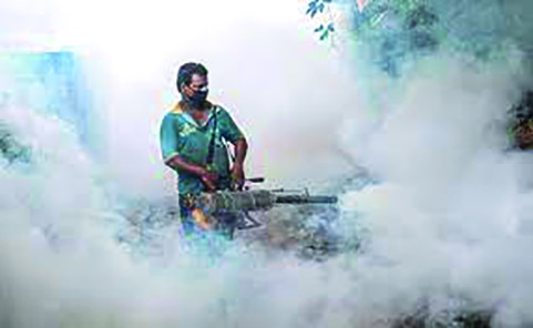 3,595 dengue cases   in Delhi with 1,420   in November alone