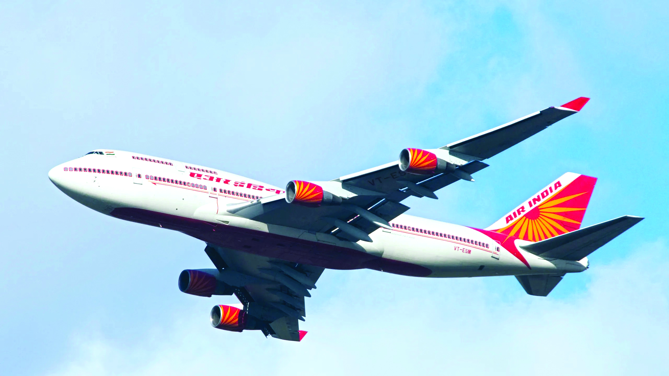 Snake found in AI Express cargo hold after landing at Dubai: DGCA