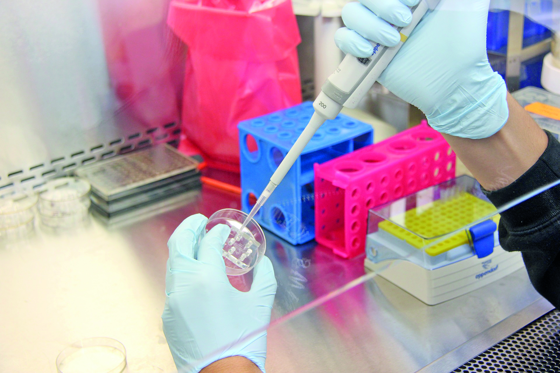 Drug trials may soon be done on human tissues, cells developed in labs; change in rules in offing