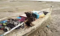 BSF Catches Three Pakistani Fishermen From Creek Area Near Border In Gujarat BSF Catches Three Pakistani Fishermen From Creek Area Near Border In Gujarat