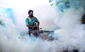 Delhi sees over 3,800 dengue cases Delhi sees over 3,800 dengue cases