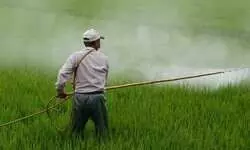 Cushion against vulnerabilities Cushion against vulnerabilities