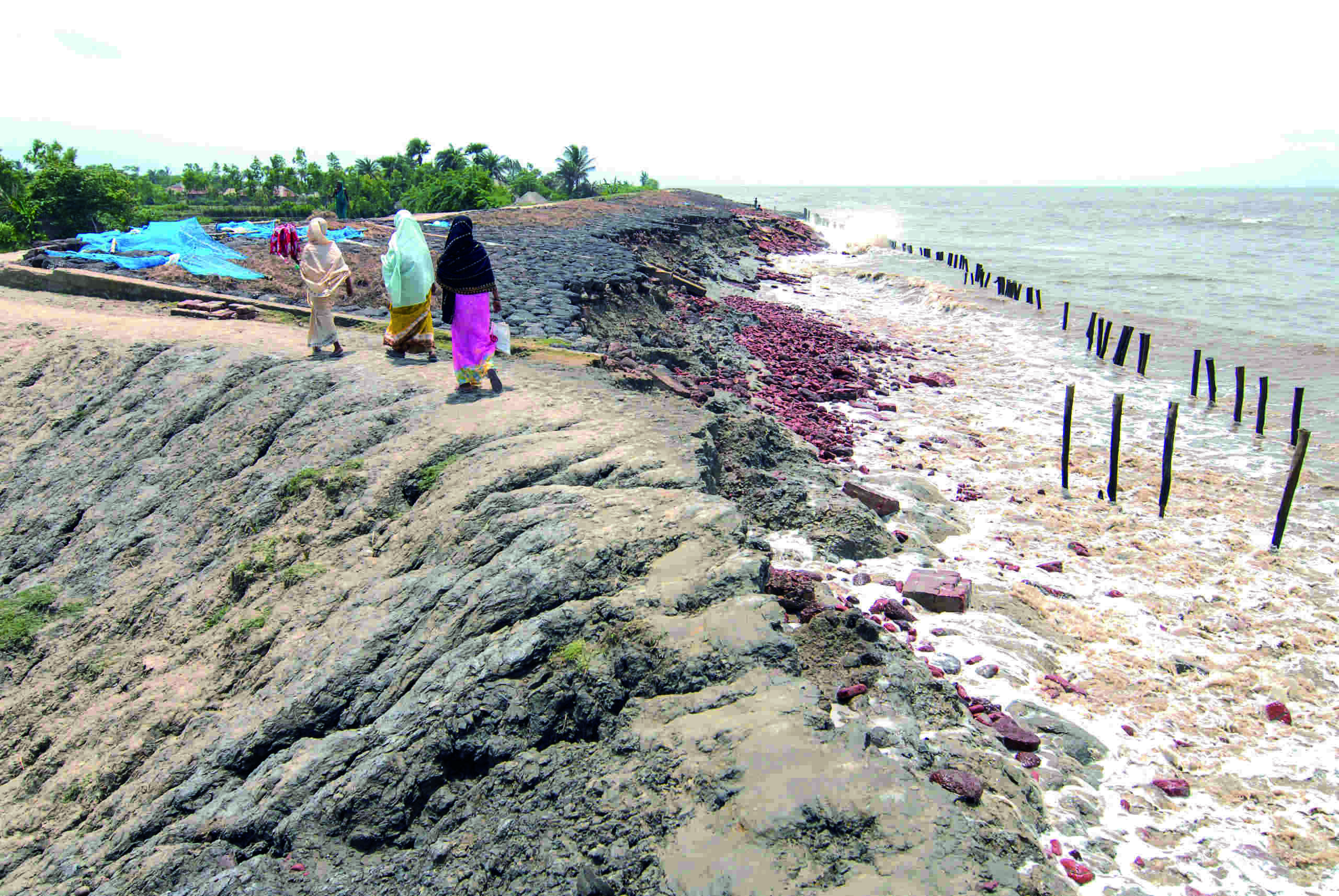 State will find permanent fix to curb coastal erosion using tech State will find permanent fix to curb coastal erosion using tech