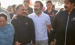 Himachal CM Sukhwinder Singh Sukhu, Congress Chief Pratibha Singh Walk Alongside Rahul Gandhi As Bharat Jodo Yatra Completes 100 Days Himachal CM Sukhwinder Singh Sukhu, Congress Chief Pratibha Singh Walk Alongside Rahul Gandhi As Bharat Jodo Yatra Completes 100 Days