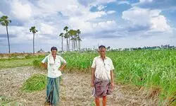 Expanding the horizon