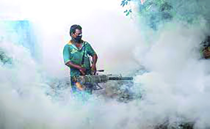 Dengue: 5 fatalities this year, confirmed death review panel Dengue: 5 fatalities this year, confirmed death review panel