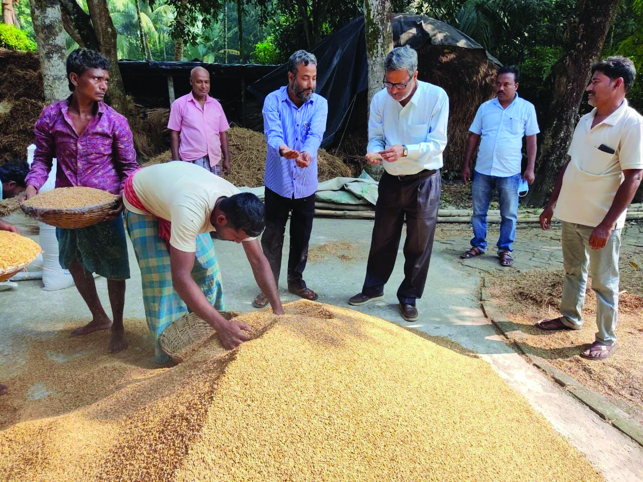State to launch mobile paddy procurement centres in Jan State to launch mobile paddy procurement centres in Jan