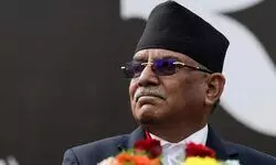 Outright opportunism