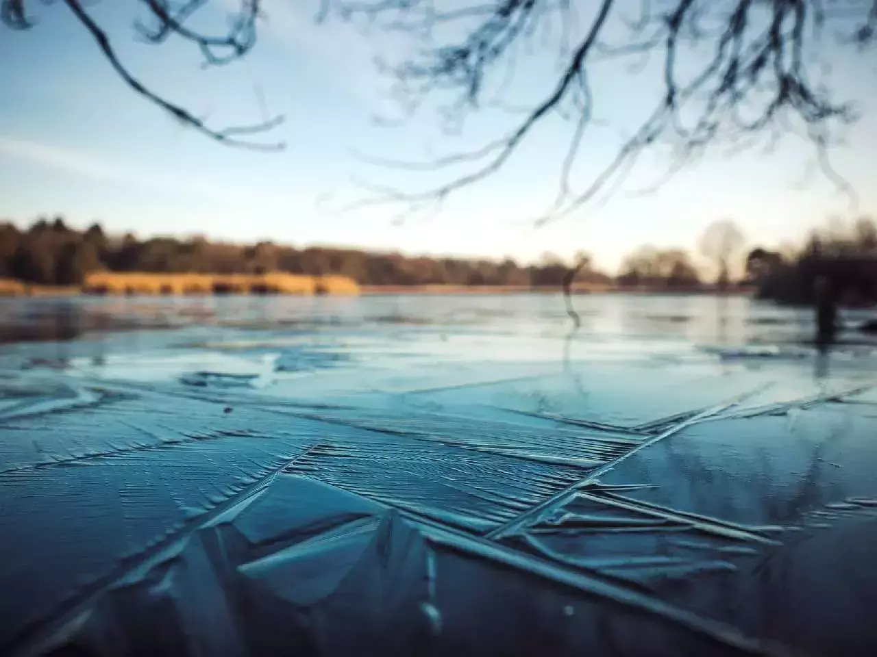 Three Indian Americans Die After Falling In Frozen Lake In Arizona: Reports