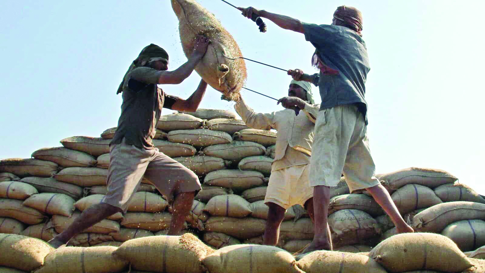 Exports Of Basmati, Non-Basmati Rice Rise 7.37% During April-October Exports Of Basmati, Non-Basmati Rice Rise 7.37% During April-October