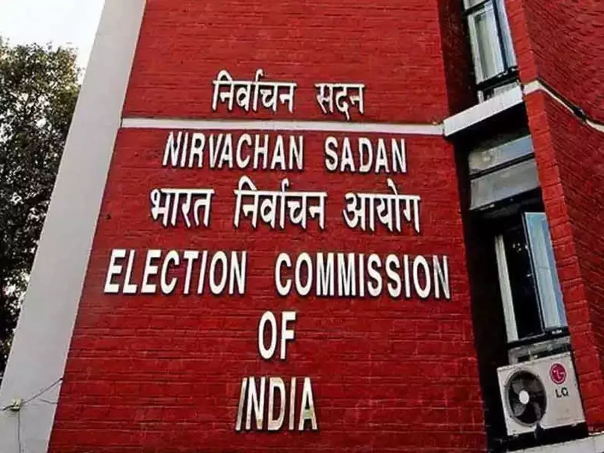 Election Commission Develops Prototype Of Remote Voting Machine For Domestic Migrant Voters