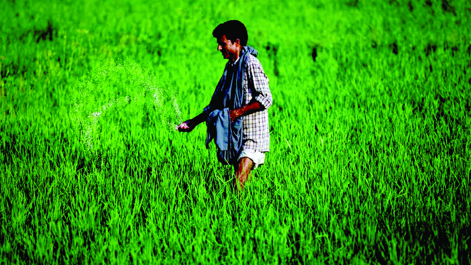 Nano-DAP for farmers by 2023 kharif season, announces Mandaviya Nano-DAP for farmers by 2023 kharif season, announces Mandaviya