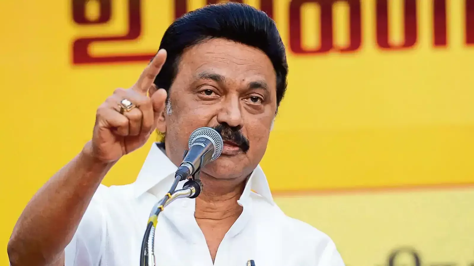BJP Cant Win A Single Seat On Its Own In Tamil Nadu, Asserts Stalin
