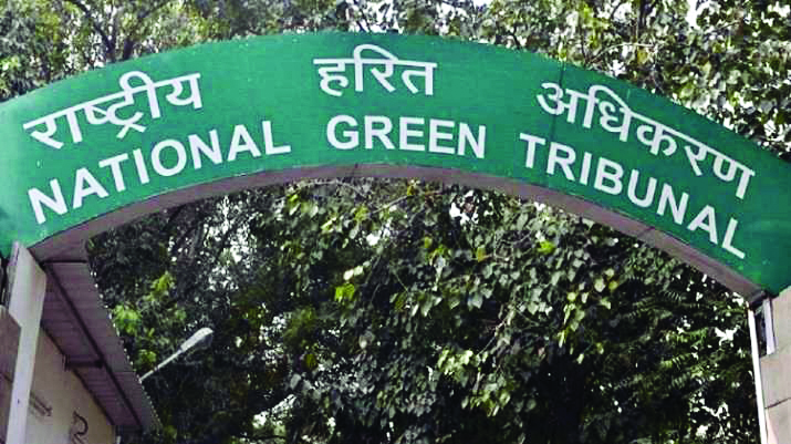 NGT chairperson, L-G inspect Najafgarh drain rejuvenation work