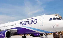 Delhi Police lodges FIR, launches manhunt to nab passenger who urinated on co-passenger onboard Air India flight Delhi Police lodges FIR, launches manhunt to nab passenger who urinated on co-passenger onboard Air India flight